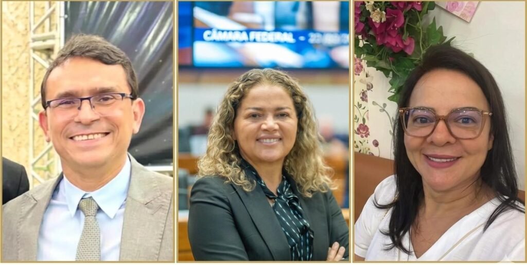 CEADEMA Define Pré-Candidatos Oficiais para as Eleições de 2026 CEADEMA Define Pré-Candidatos Oficiais para as Eleições de 2026