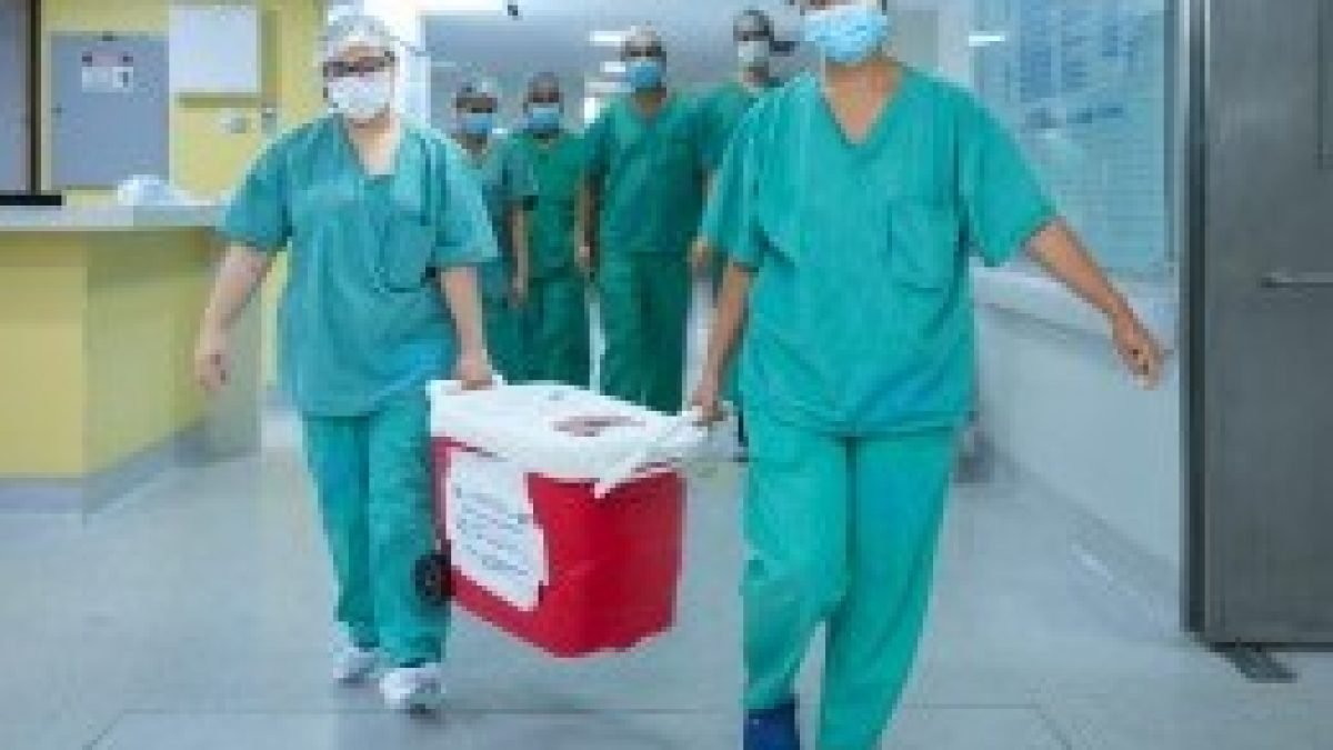 56863_whatsapp_image_2025_09_12_at_15.21.05_3004777211354918048_ (1)