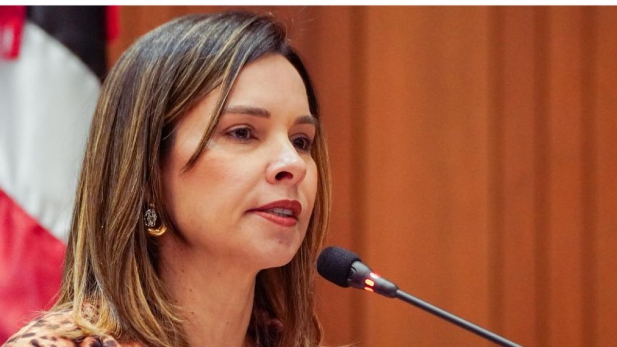 Dra. Vivianne disse que a proposta tem como objetivo reconhecer a importância das Procuradorias da Mulher como estruturas fundamentais de defesa dos direitos femininos